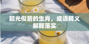 韶光似箭的生肖，成语释义解释落实