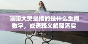 嚎啕大哭是指的是什么生肖数字，成语释义解释落实