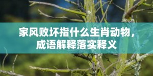 家风败坏指什么生肖动物，成语解释落实释义