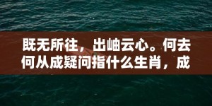 既无所往，出岫云心。何去何从成疑问指什么生肖，成语释义解释落实