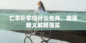 亡羊补牢指什么生肖，成语释义解释落实