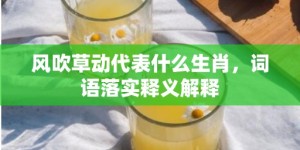 风吹草动代表什么生肖，词语落实释义解释