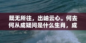 既无所往，出岫云心。何去何从成疑问是什么生肖，成语解释落实释义