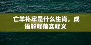 亡羊补牢是什么生肖，成语解释落实释义