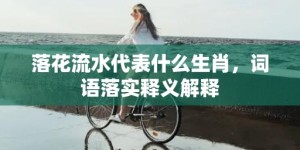 落花流水代表什么生肖，词语落实释义解释