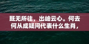 既无所往，出岫云心。何去何从成疑问代表什么生肖，词语落实释义解释