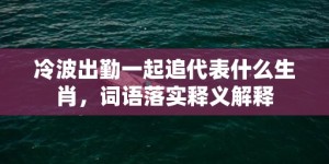 冷波出勤一起追代表什么生肖，词语落实释义解释