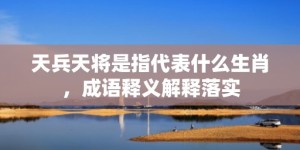 天兵天将是指代表什么生肖，成语释义解释落实