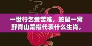 一世行乞受苦难，蛇鼠一窝野青山是指代表什么生肖，成语释义解释落实