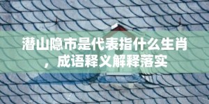 潜山隐市是代表指什么生肖，成语释义解释落实