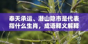 奉天承运、潜山隐市是代表指什么生肖，成语释义解释落实