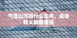 气压山河指什么生肖，成语释义解释落实