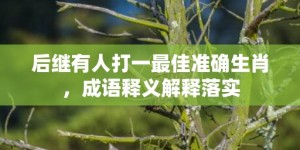 后继有人打一最佳准确生肖，成语释义解释落实