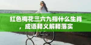 红色梅花三六九指什么生肖，成语释义解释落实