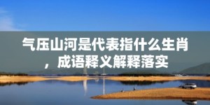 气压山河是代表指什么生肖，成语释义解释落实