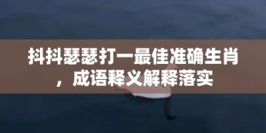 抖抖瑟瑟打一最佳准确生肖，成语释义解释落实