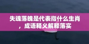 失魂落魄是代表指什么生肖，成语释义解释落实