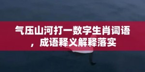 气压山河打一数字生肖词语，成语释义解释落实