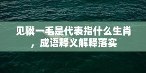 见骥一毛是代表指什么生肖，成语释义解释落实