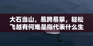 大石当山，易跨易攀，轻松飞越有何难是指代表什么生肖，打一最佳成语释义解释落实