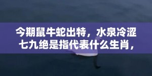 今期鼠牛蛇出特，水泉冷涩七九绝是指代表什么生肖，打一最佳成语释义解释落实