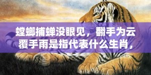 螳螂捕蝉没眼见，翻手为云覆手雨是指代表什么生肖，打一最佳成语释义解释落实