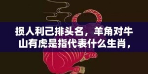 损人利己排头名，羊角对牛山有虎是指代表什么生肖，打一最佳成语释义解释落实