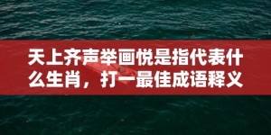 天上齐声举画悦是指代表什么生肖，打一最佳成语释义解释落实