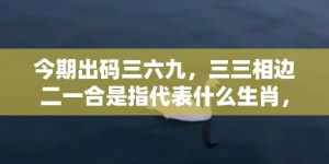 今期出码三六九，三三相边二一合是指代表什么生肖，打一最佳成语释义解释落实