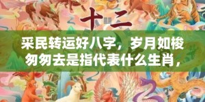 采民转运好八字，岁月如梭匆匆去是指代表什么生肖，打一最佳成语释义解释落实