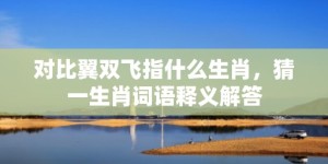 对比翼双飞指什么生肖，猜一生肖词语释义解答