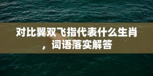 对比翼双飞指代表什么生肖，词语落实解答