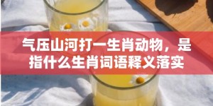 气压山河打一生肖动物，是指什么生肖词语释义落实