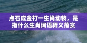 点石成金打一生肖动物，是指什么生肖词语释义落实