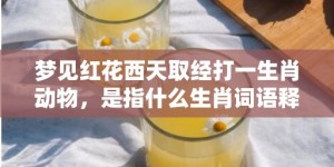 梦见红花西天取经打一生肖动物，是指什么生肖词语释义落实