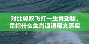 对比翼双飞打一生肖动物，是指什么生肖词语释义落实