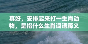 真好，安排起来打一生肖动物，是指什么生肖词语释义落实