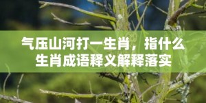 气压山河打一生肖，指什么生肖成语释义解释落实