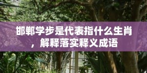 邯郸学步是代表指什么生肖，解释落实释义成语