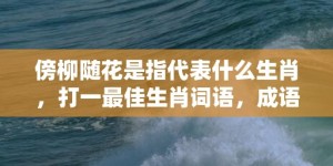 傍柳随花是指代表什么生肖，打一最佳生肖词语，成语释义解释落实