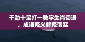 干劲十足打一数字生肖词语，成语释义解释落实