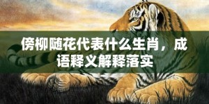 傍柳随花代表什么生肖，成语释义解释落实