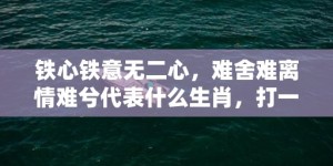 铁心铁意无二心，难舍难离情难兮代表什么生肖，打一最佳准确生肖词语释义落实解释