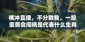 横冲直撞，不分敌我，一股蛮勇会闯祸是代表什么生肖，成语释义解释落实