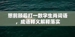 想前顾后打一数字生肖词语，成语释义解释落实