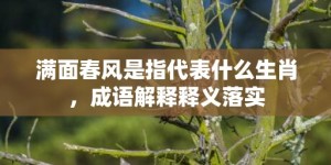 满面春风是指代表什么生肖，成语解释释义落实