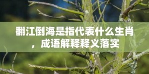 翻江倒海是指代表什么生肖，成语解释释义落实