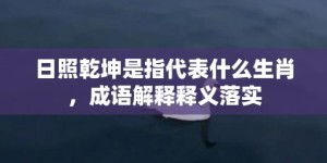 日照乾坤是指代表什么生肖，成语解释释义落实