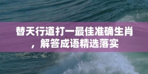 替天行道打一最佳准确生肖，解答成语精选落实