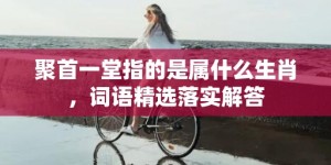 聚首一堂指的是属什么生肖，词语精选落实解答